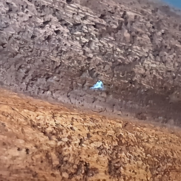 MCM Sculpture Of Posing Family With Silver Heads. - Picture 5 of 10